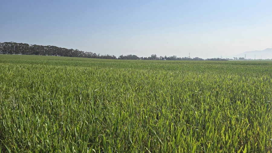 Commercial Property for Sale in Wellington Rural Western Cape
